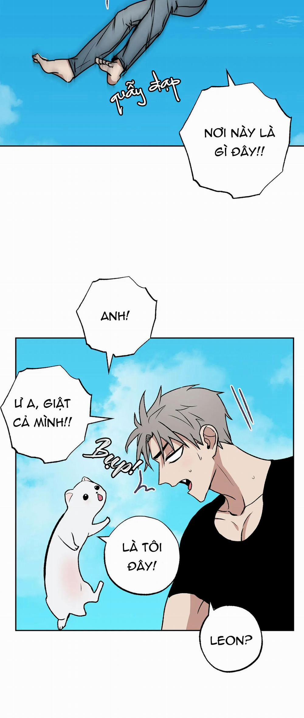 NEW ROMANCE 4 trang 39