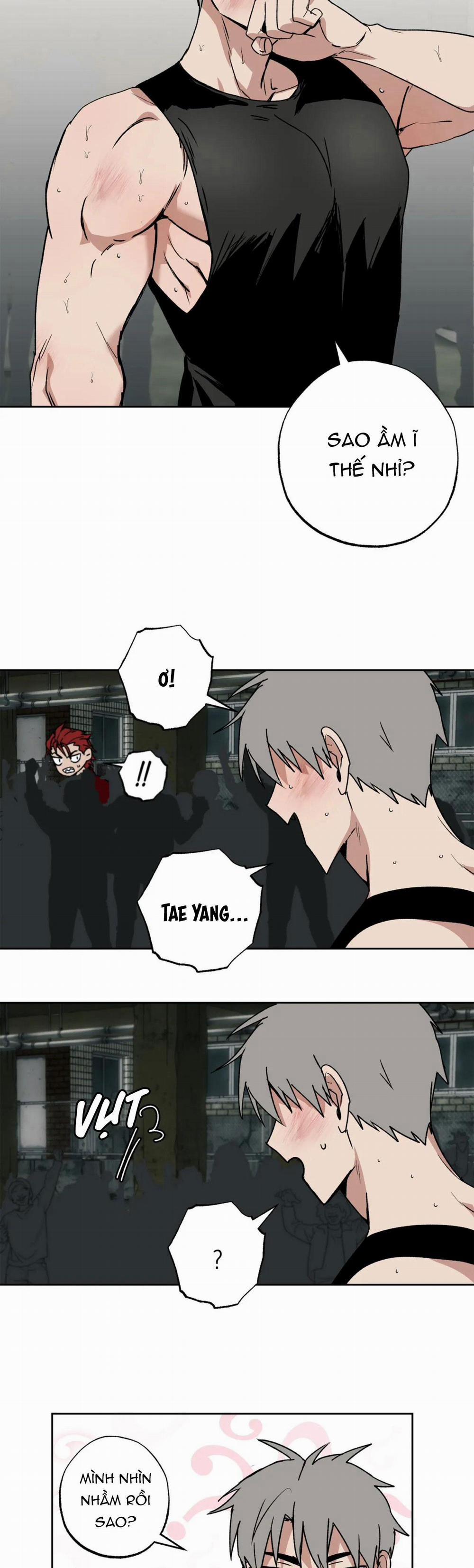 NEW ROMANCE 5 trang 1