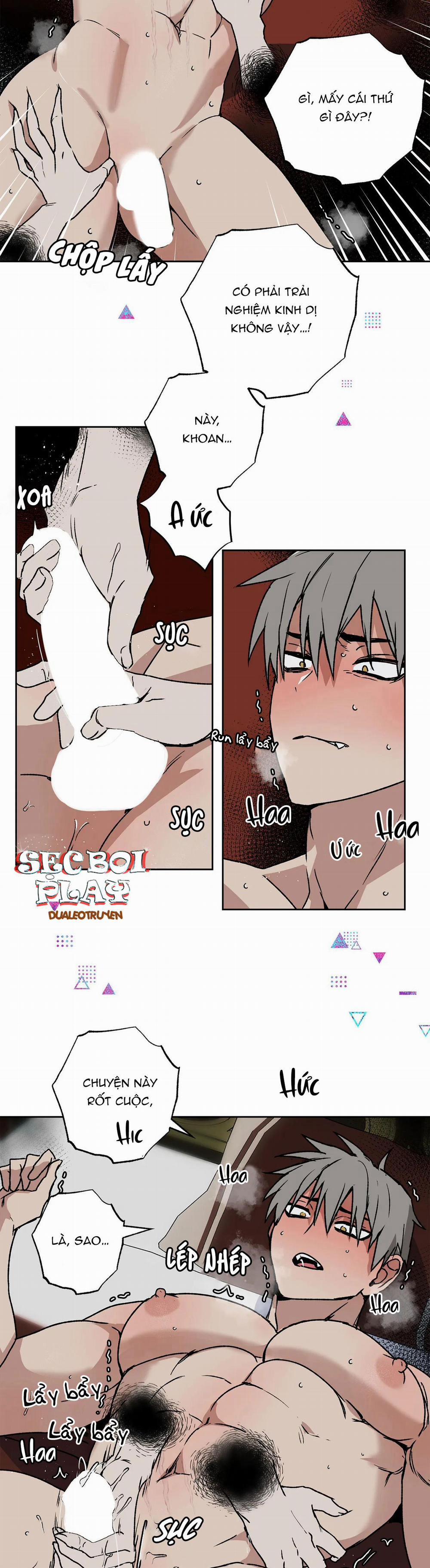 NEW ROMANCE 5 trang 19