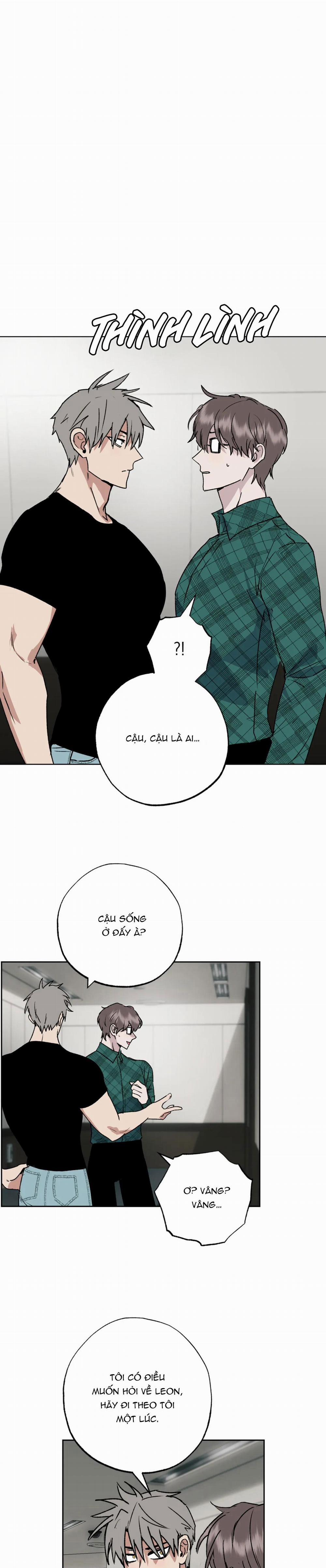 NEW ROMANCE 5 trang 4