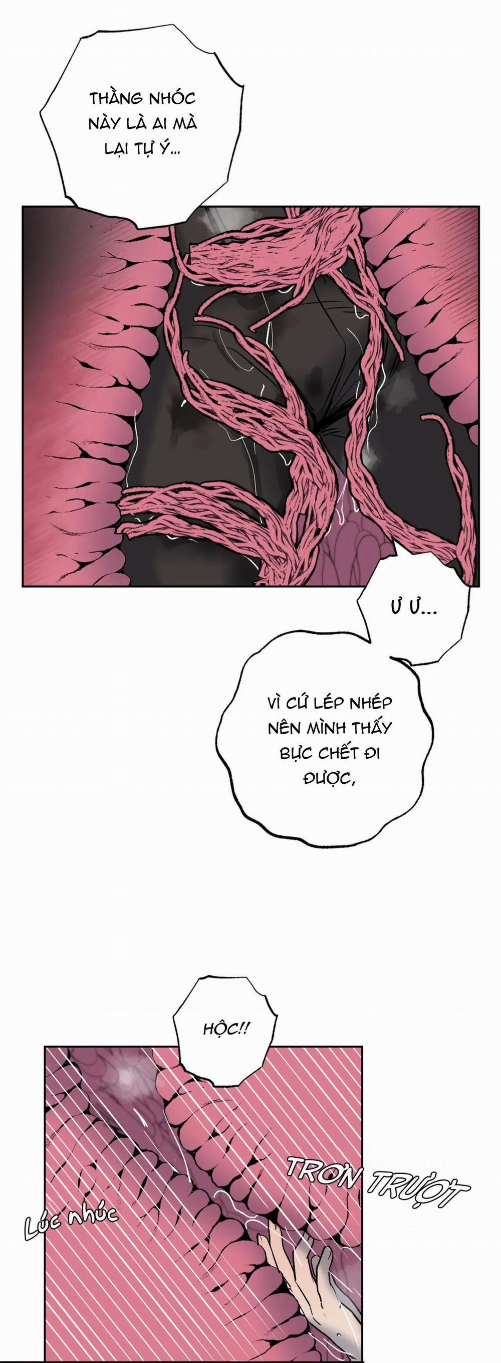 NEW ROMANCE 8 trang 2