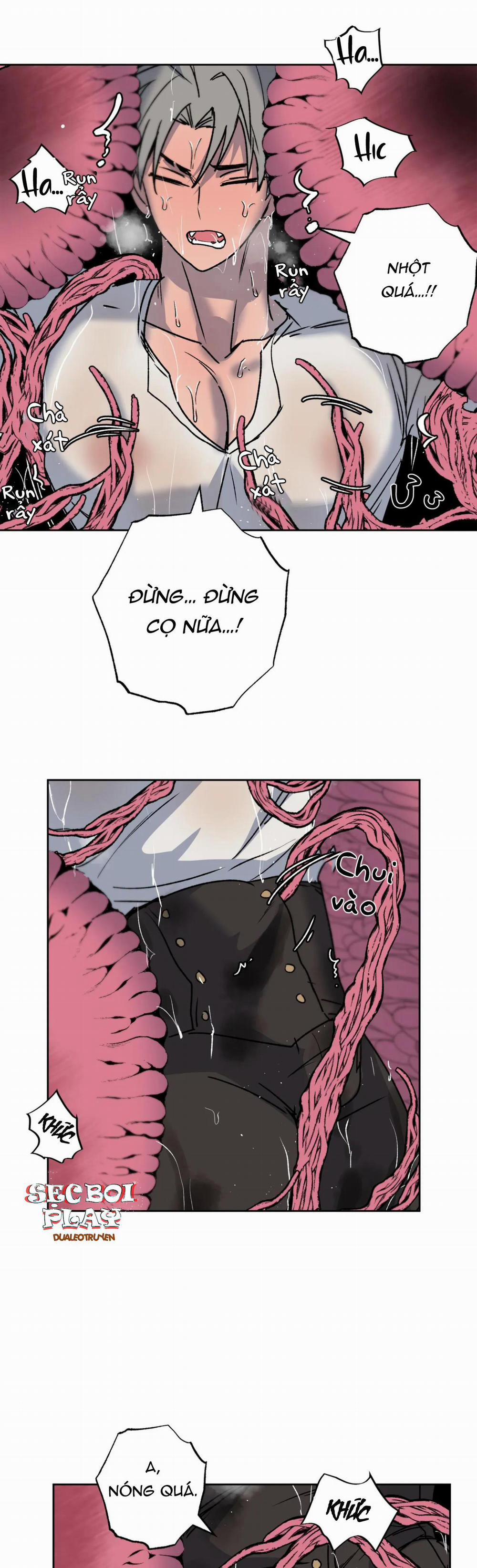 NEW ROMANCE 8 trang 5