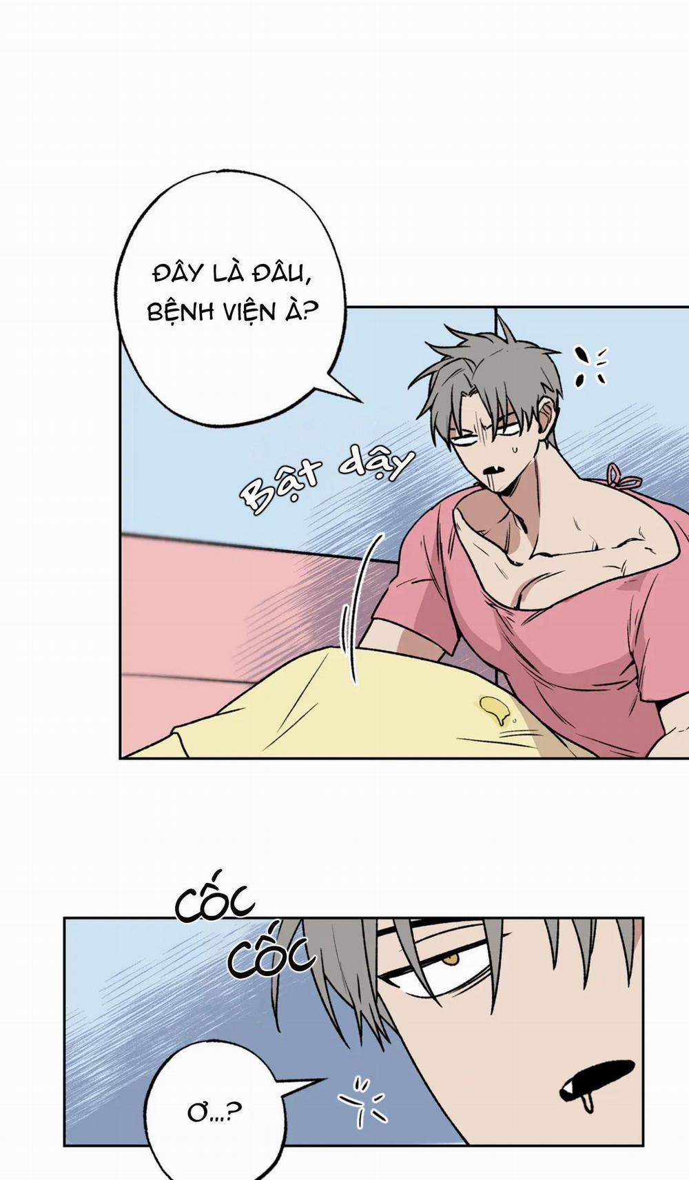 NEW ROMANCE 9 trang 5