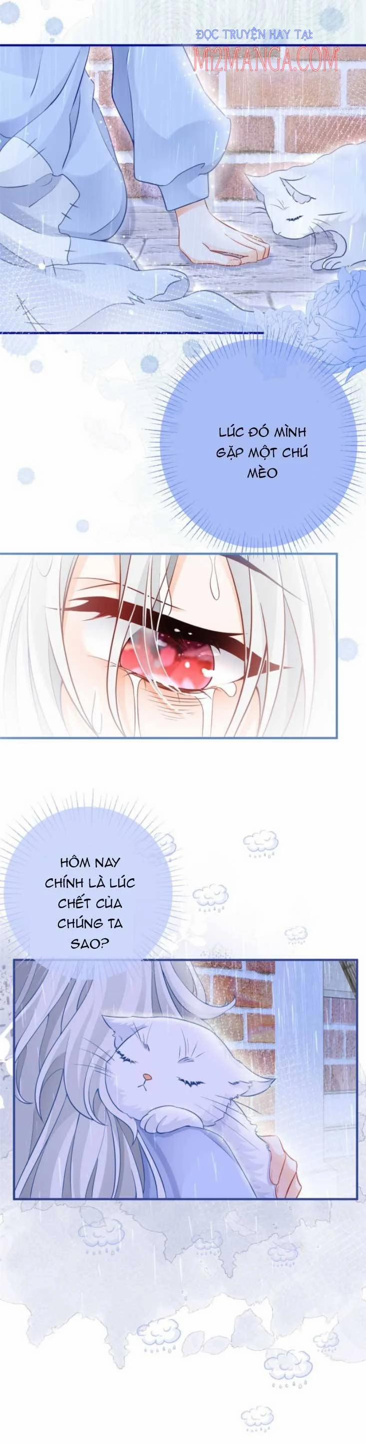 Ngày Nào Đó Trở Thành Công Chúa Tế Phẩm 6 trang 5