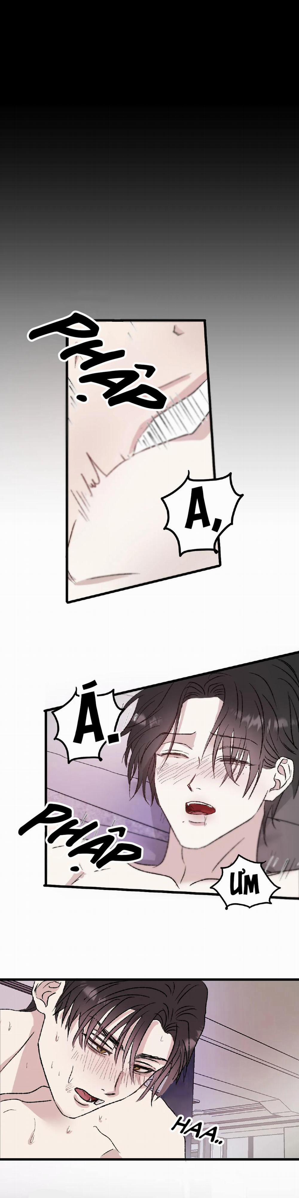 Nghiện Cuồng Công - BDSM Cùng Sẹc 1.5 gương end trang 9