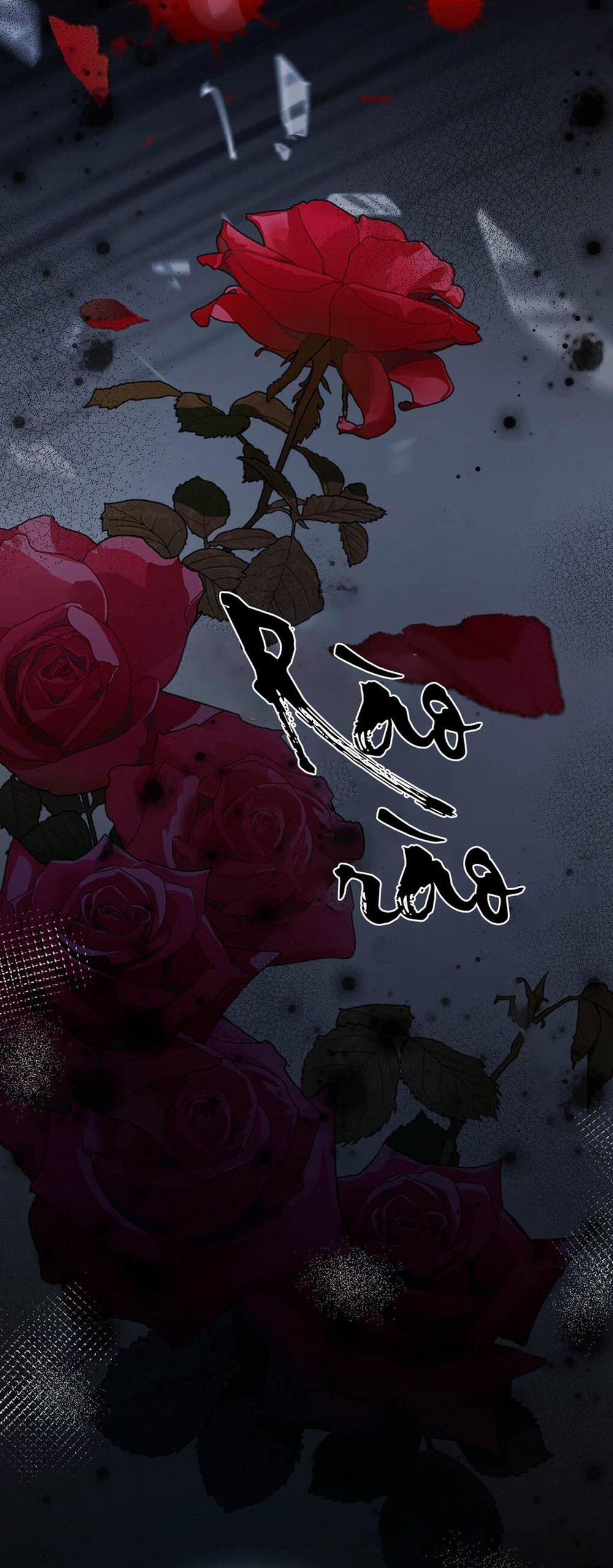 Nghiện Rượu 81 trang 17