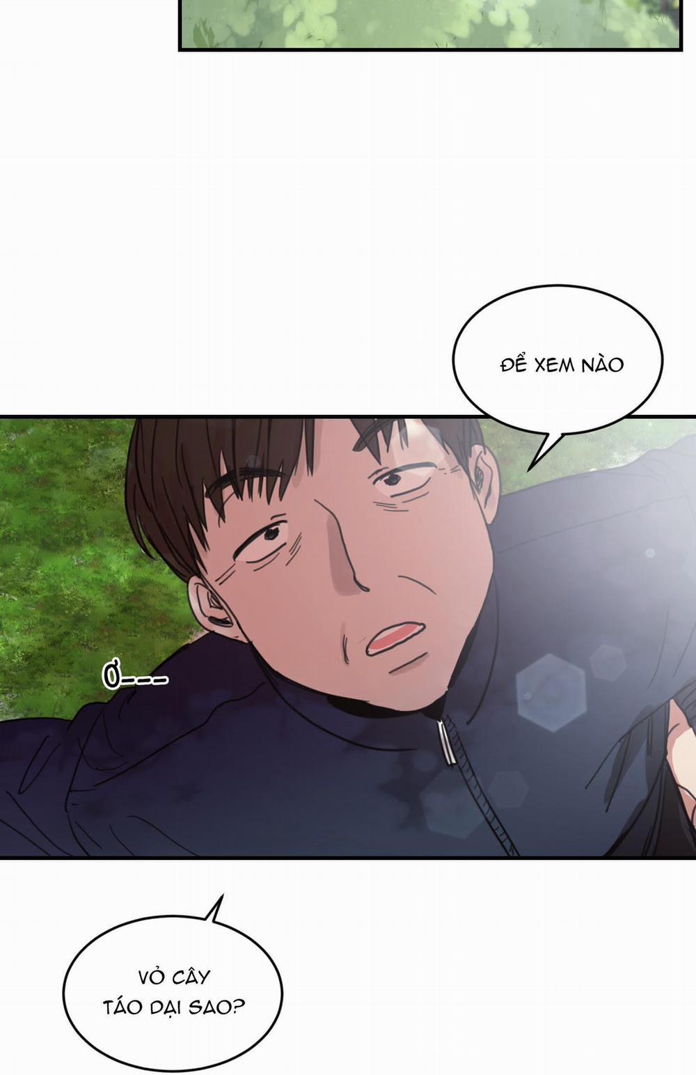 NGÔI NHÀ HƯỚNG MẶT TRỜI MỌC 1 trang 12