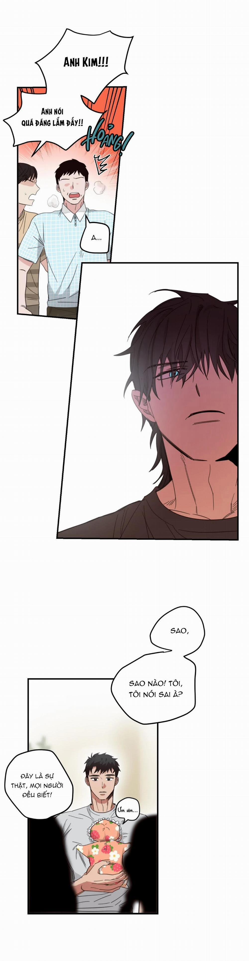 NGÔI NHÀ HƯỚNG MẶT TRỜI MỌC 11 trang 12