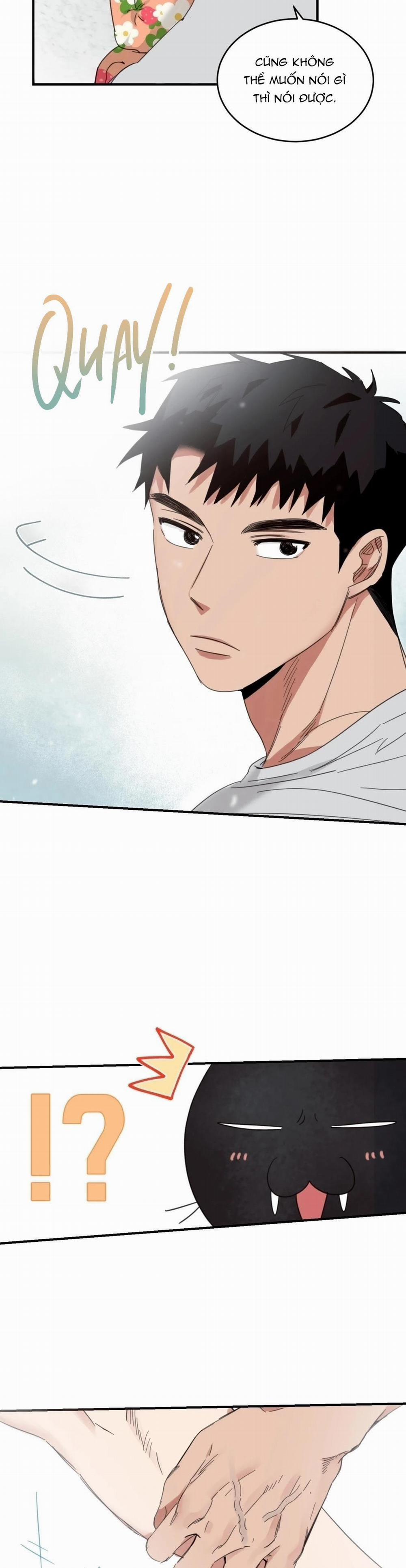 NGÔI NHÀ HƯỚNG MẶT TRỜI MỌC 11 trang 17