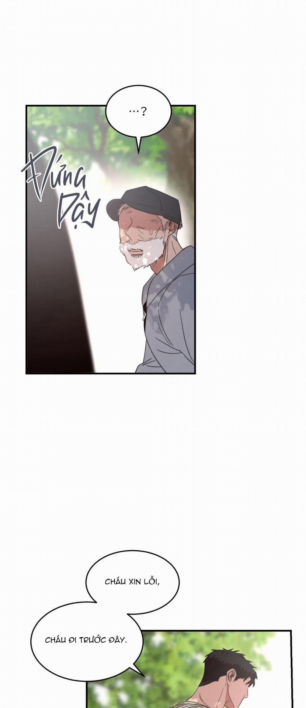 NGÔI NHÀ HƯỚNG MẶT TRỜI MỌC 16 trang 17