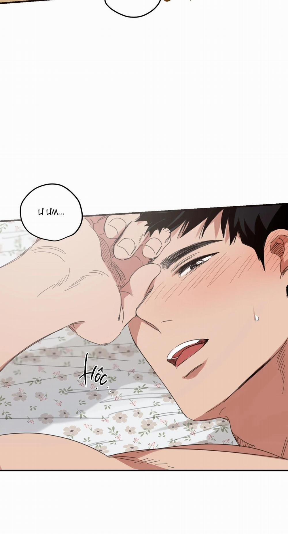 NGÔI NHÀ HƯỚNG MẶT TRỜI MỌC 23 Hát trang 1