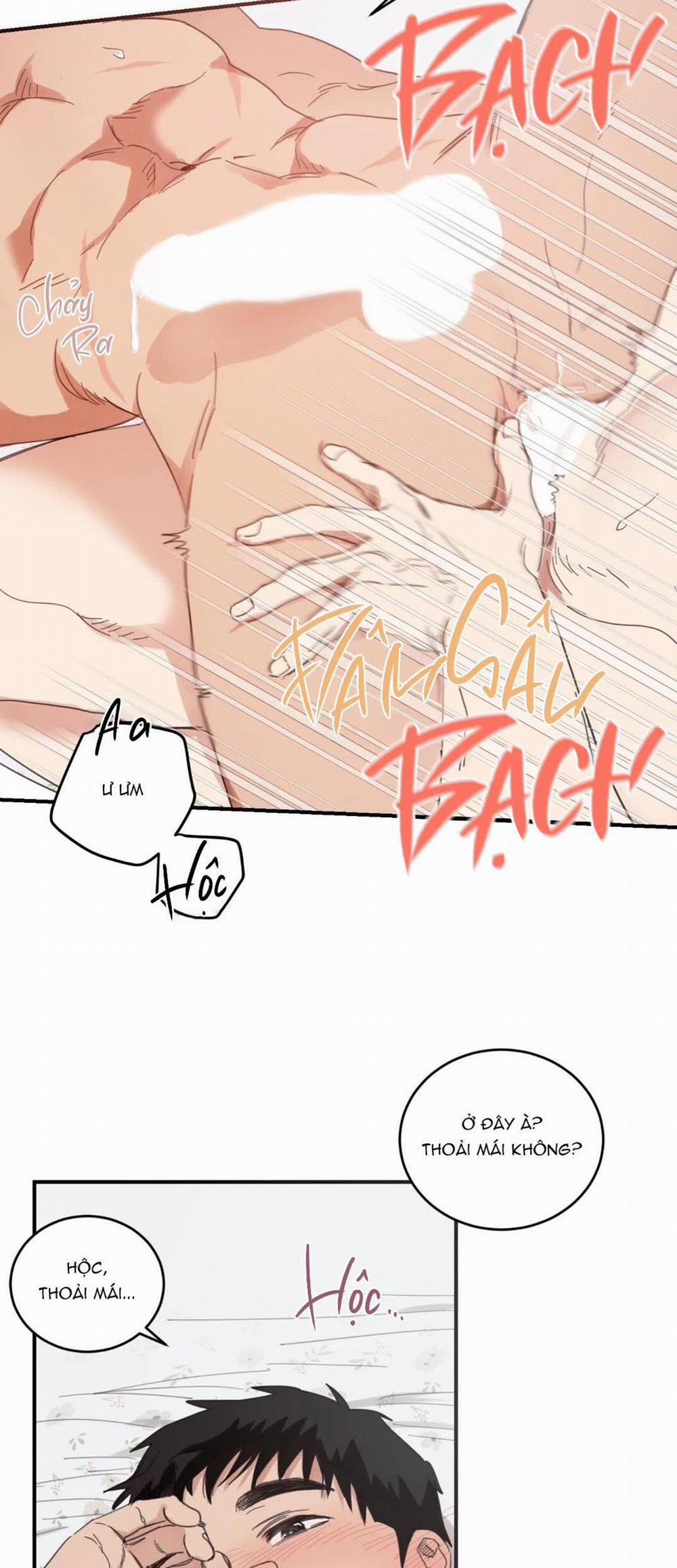 NGÔI NHÀ HƯỚNG MẶT TRỜI MỌC 24 trang 15