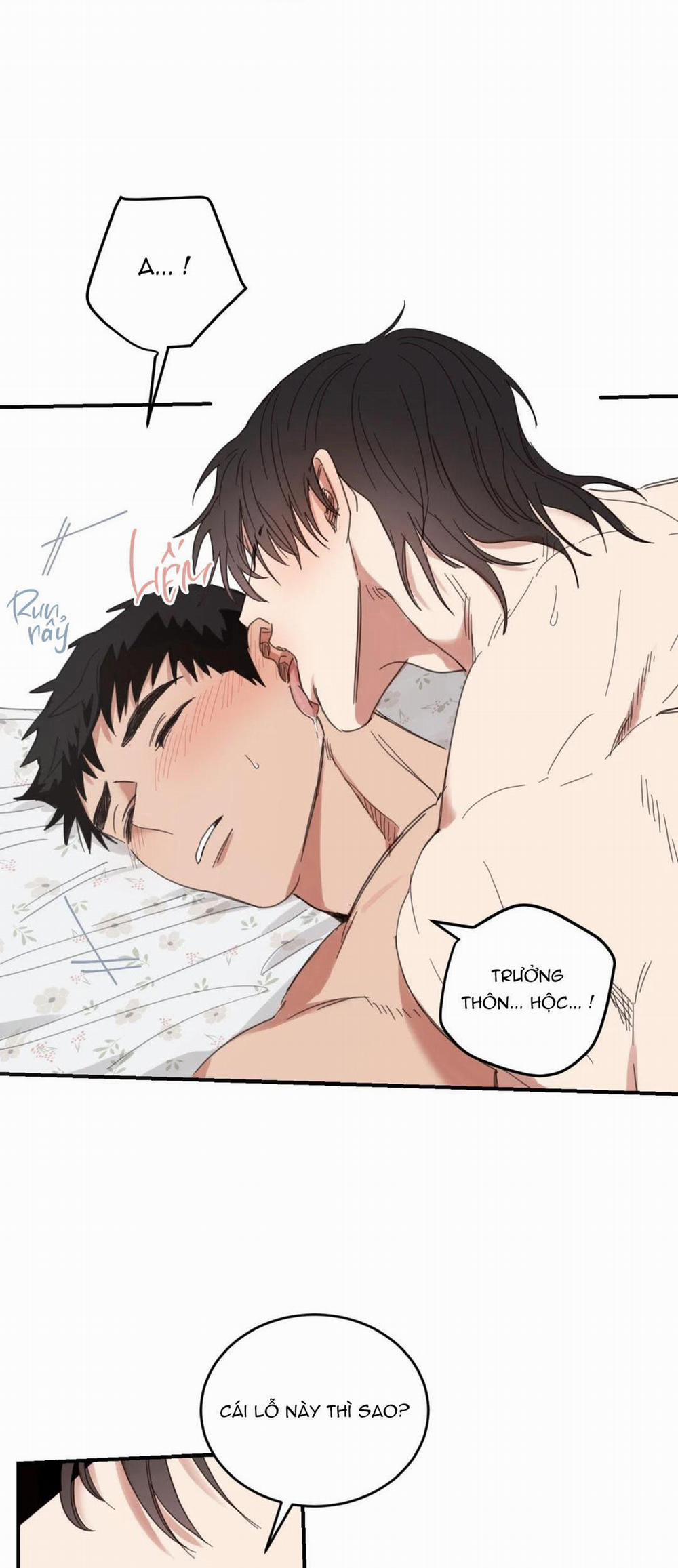 NGÔI NHÀ HƯỚNG MẶT TRỜI MỌC 24 trang 17