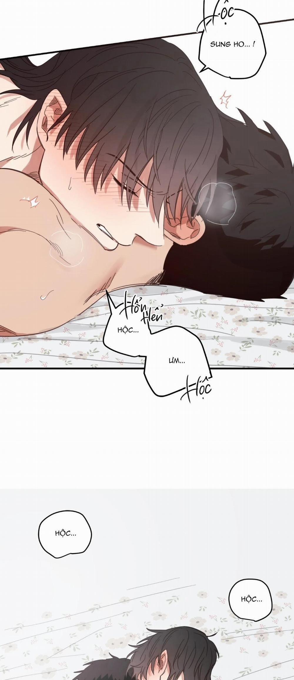 NGÔI NHÀ HƯỚNG MẶT TRỜI MỌC 24 trang 20