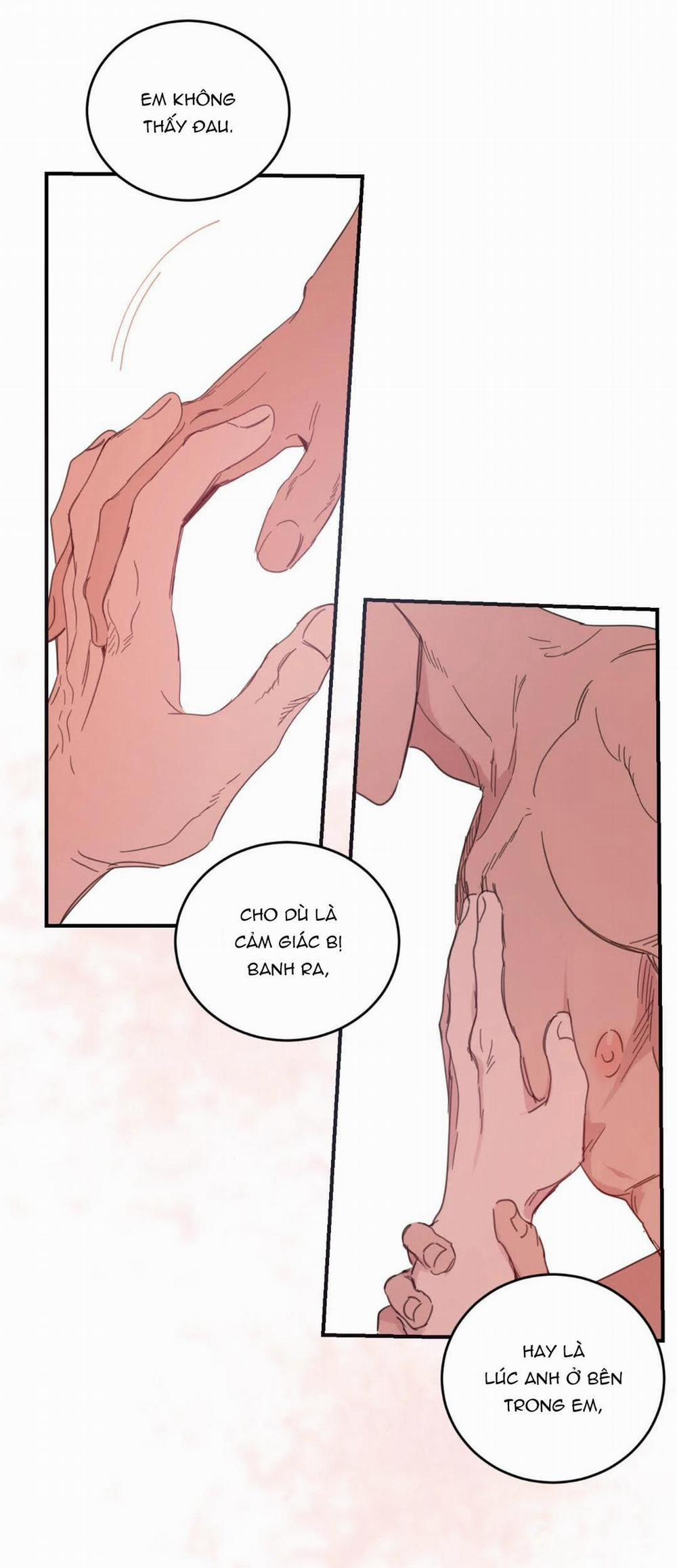 NGÔI NHÀ HƯỚNG MẶT TRỜI MỌC 24 trang 7