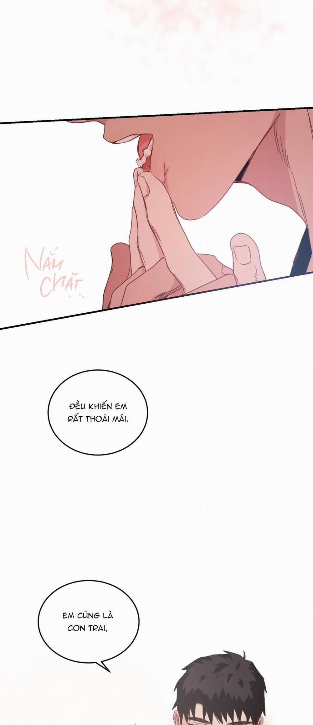 NGÔI NHÀ HƯỚNG MẶT TRỜI MỌC 24 trang 8