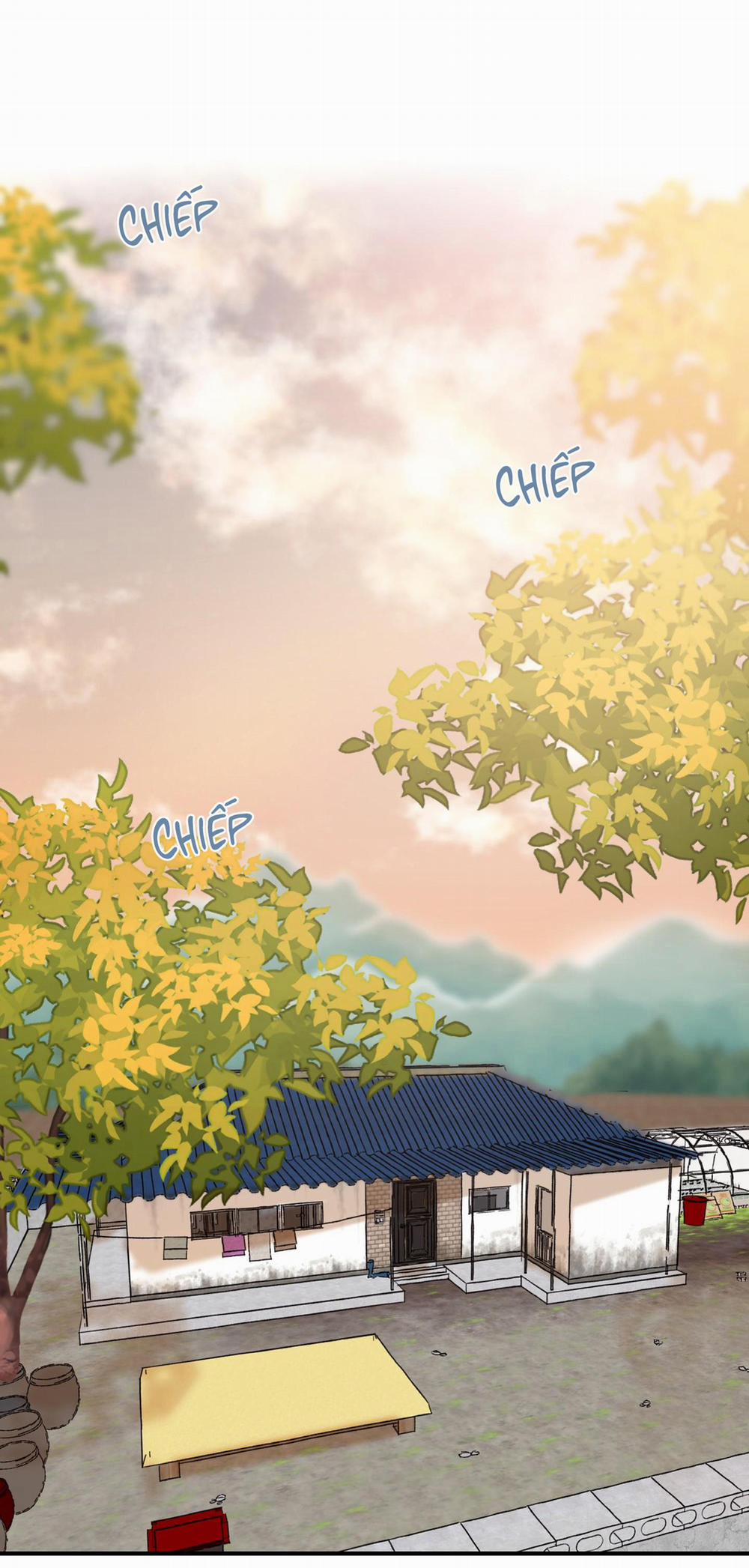 NGÔI NHÀ HƯỚNG MẶT TRỜI MỌC 30 trang 16