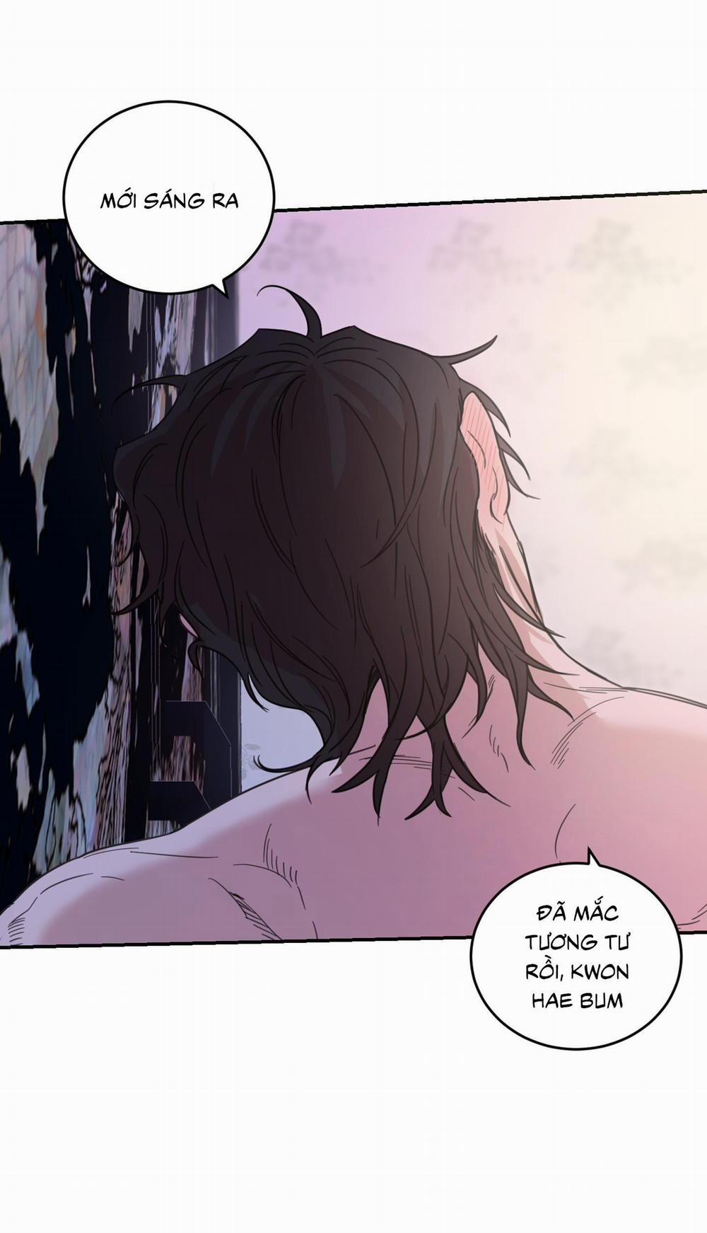 NGÔI NHÀ HƯỚNG MẶT TRỜI MỌC 33 trang 43