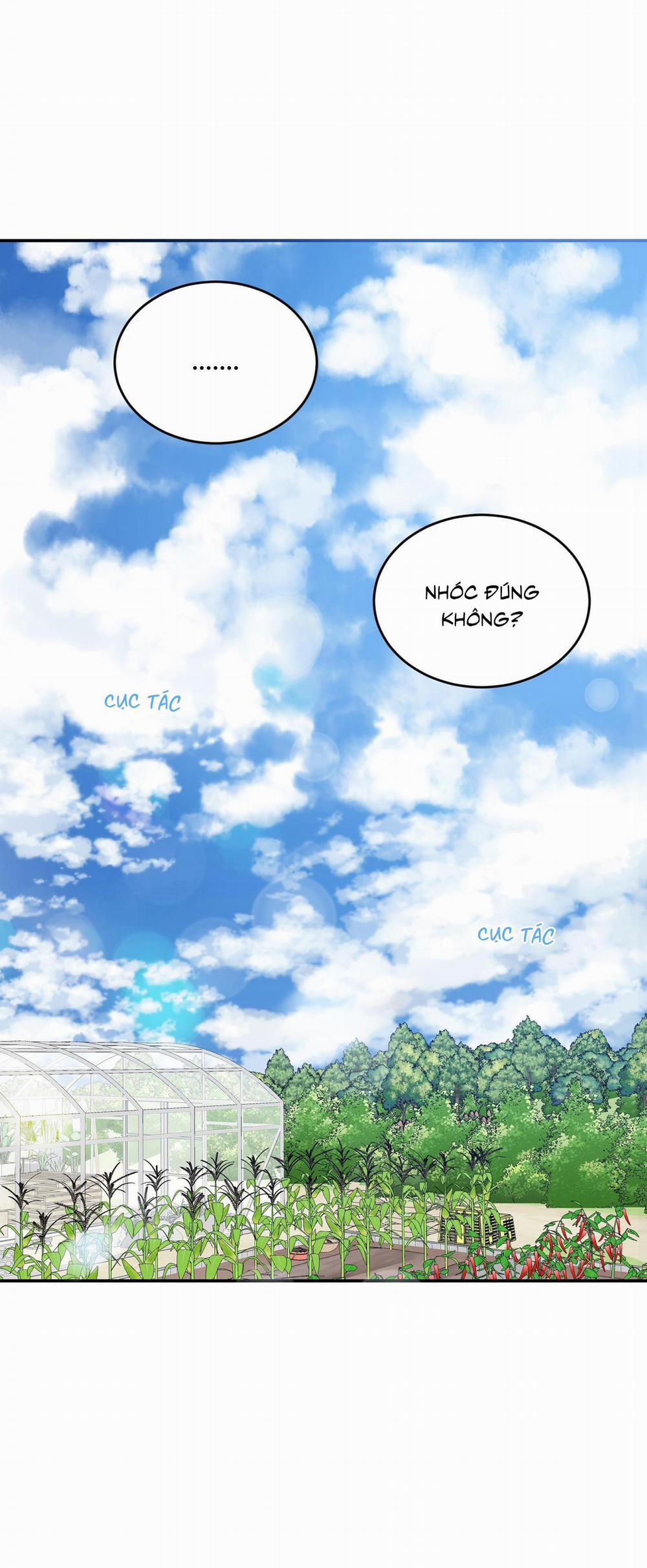 NGÔI NHÀ HƯỚNG MẶT TRỜI MỌC 33 trang 62