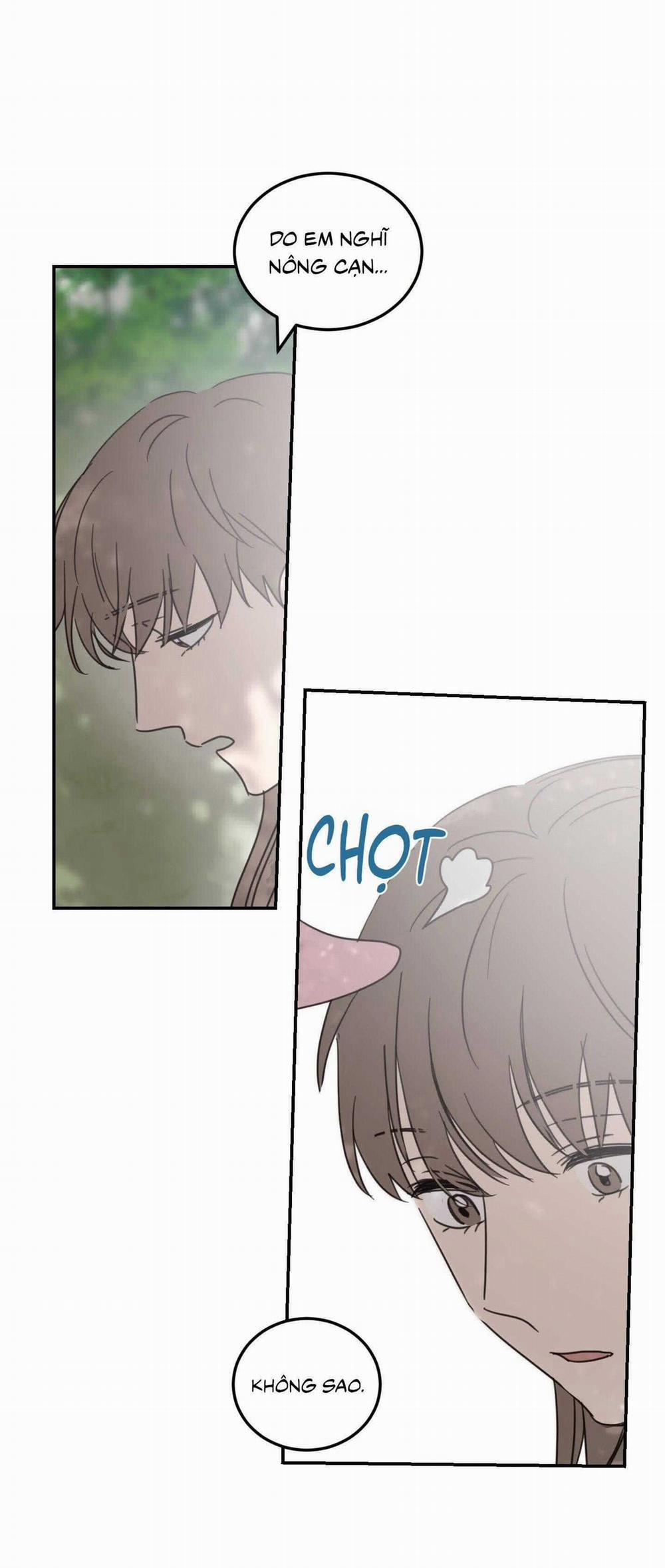 NGÔI NHÀ HƯỚNG MẶT TRỜI MỌC 38 trang 46