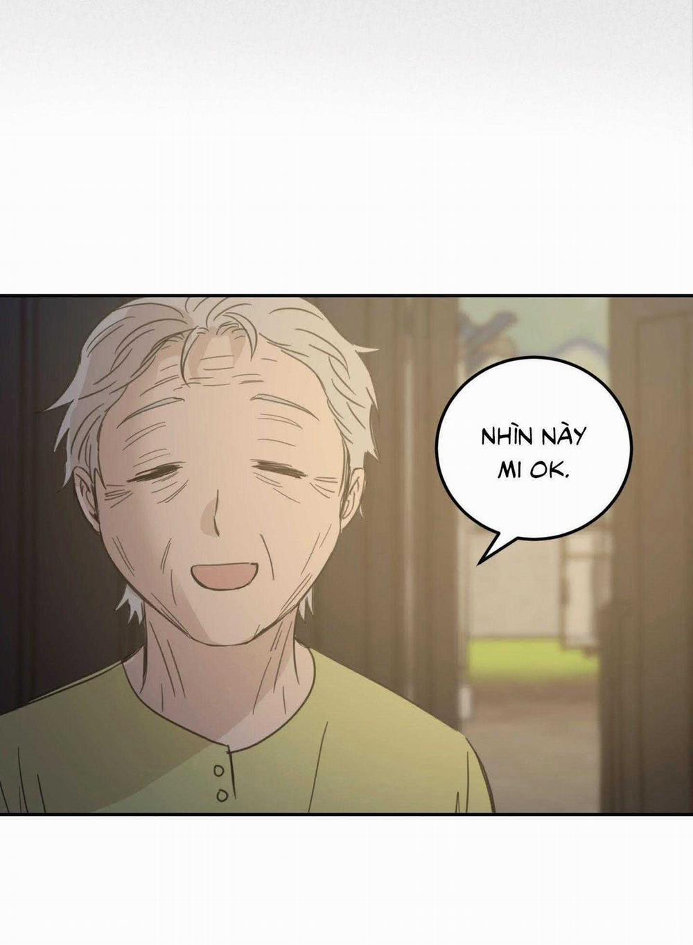 NGÔI NHÀ HƯỚNG MẶT TRỜI MỌC 38 trang 62