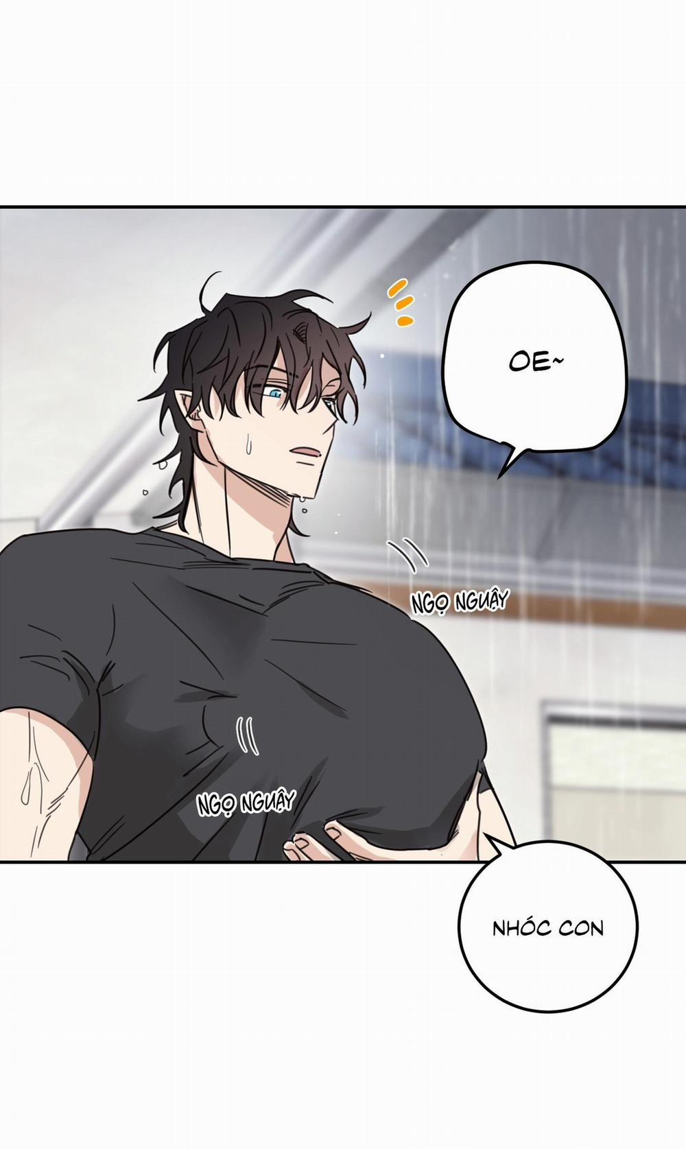 NGÔI NHÀ HƯỚNG MẶT TRỜI MỌC 41 trang 31