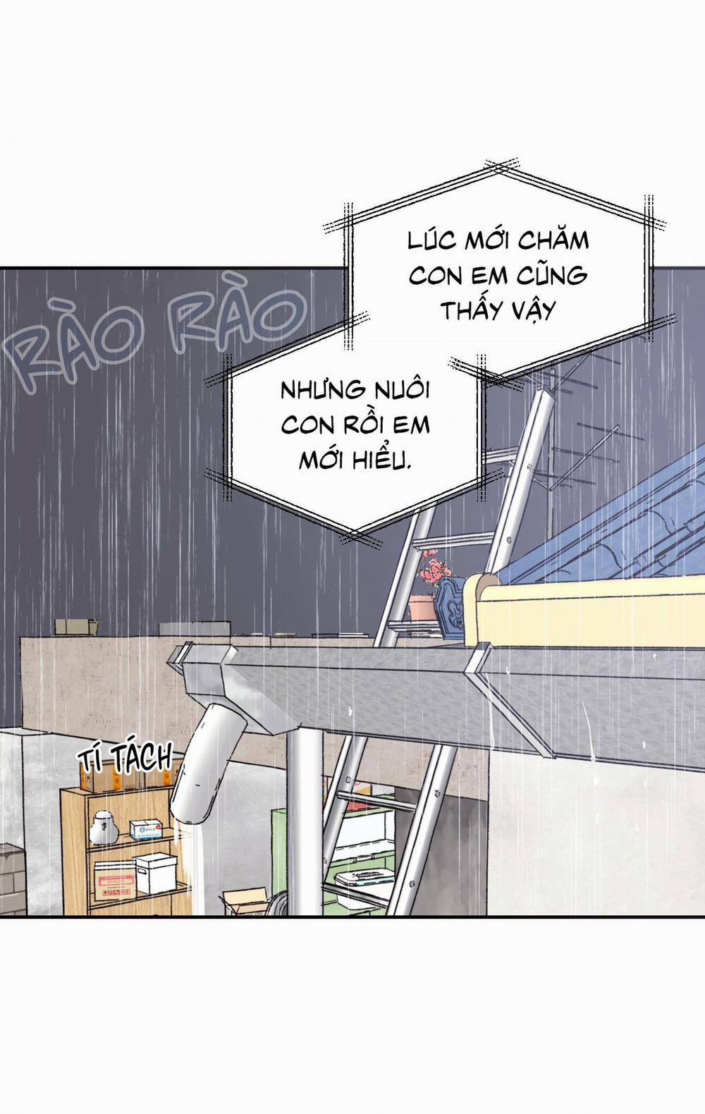 NGÔI NHÀ HƯỚNG MẶT TRỜI MỌC 42 trang 21