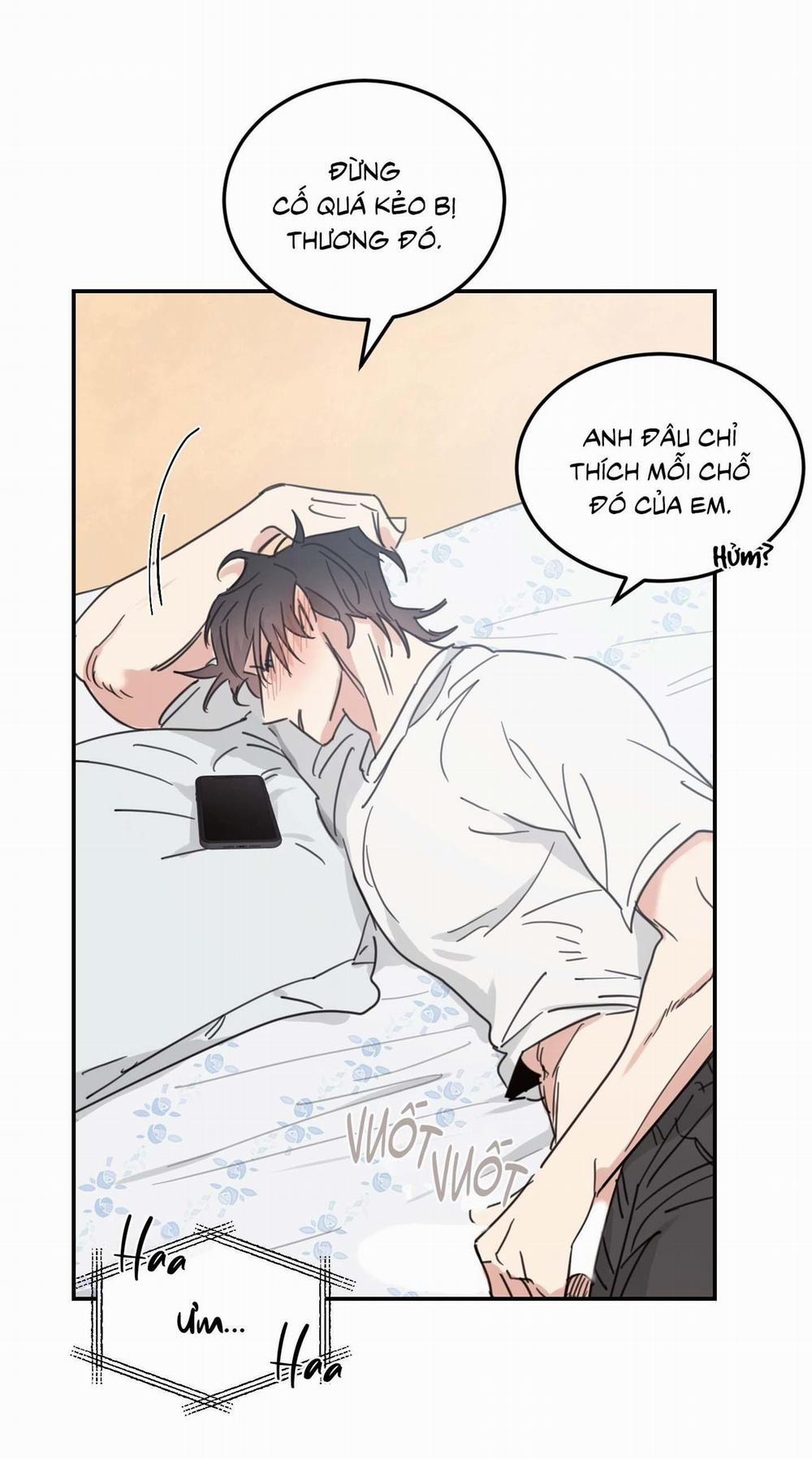 NGÔI NHÀ HƯỚNG MẶT TRỜI MỌC 43 trang 13