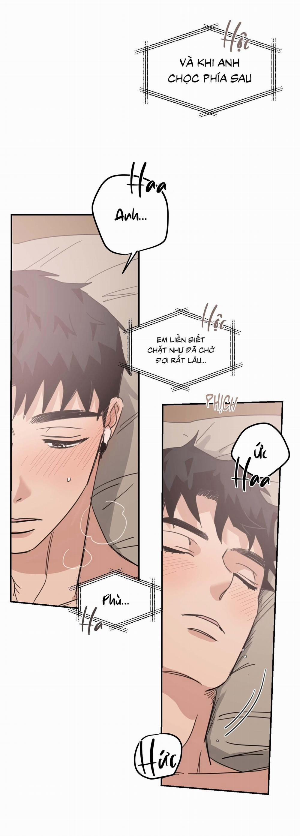 NGÔI NHÀ HƯỚNG MẶT TRỜI MỌC 43 trang 18