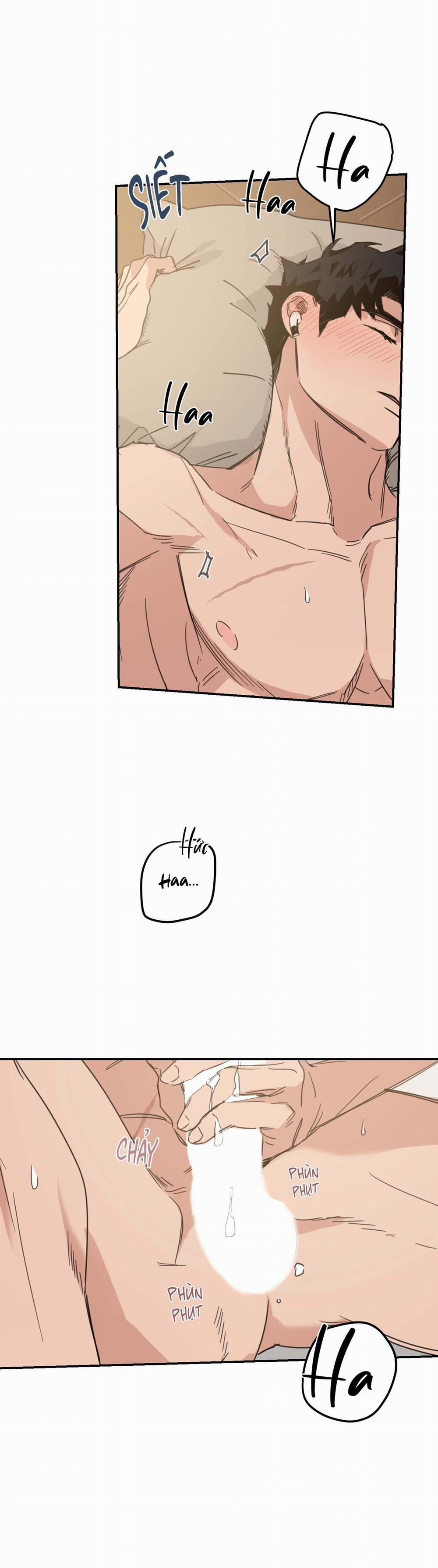 NGÔI NHÀ HƯỚNG MẶT TRỜI MỌC 43 trang 20