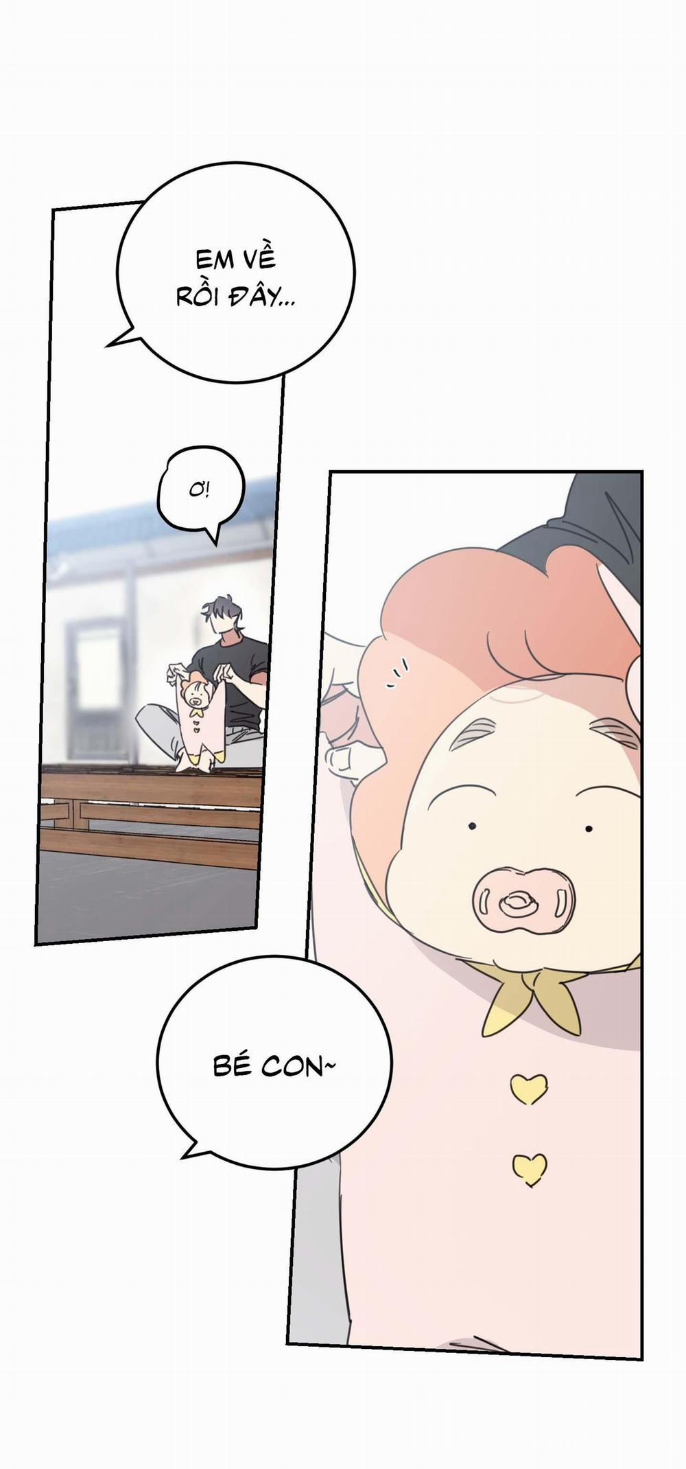 NGÔI NHÀ HƯỚNG MẶT TRỜI MỌC 43 trang 35