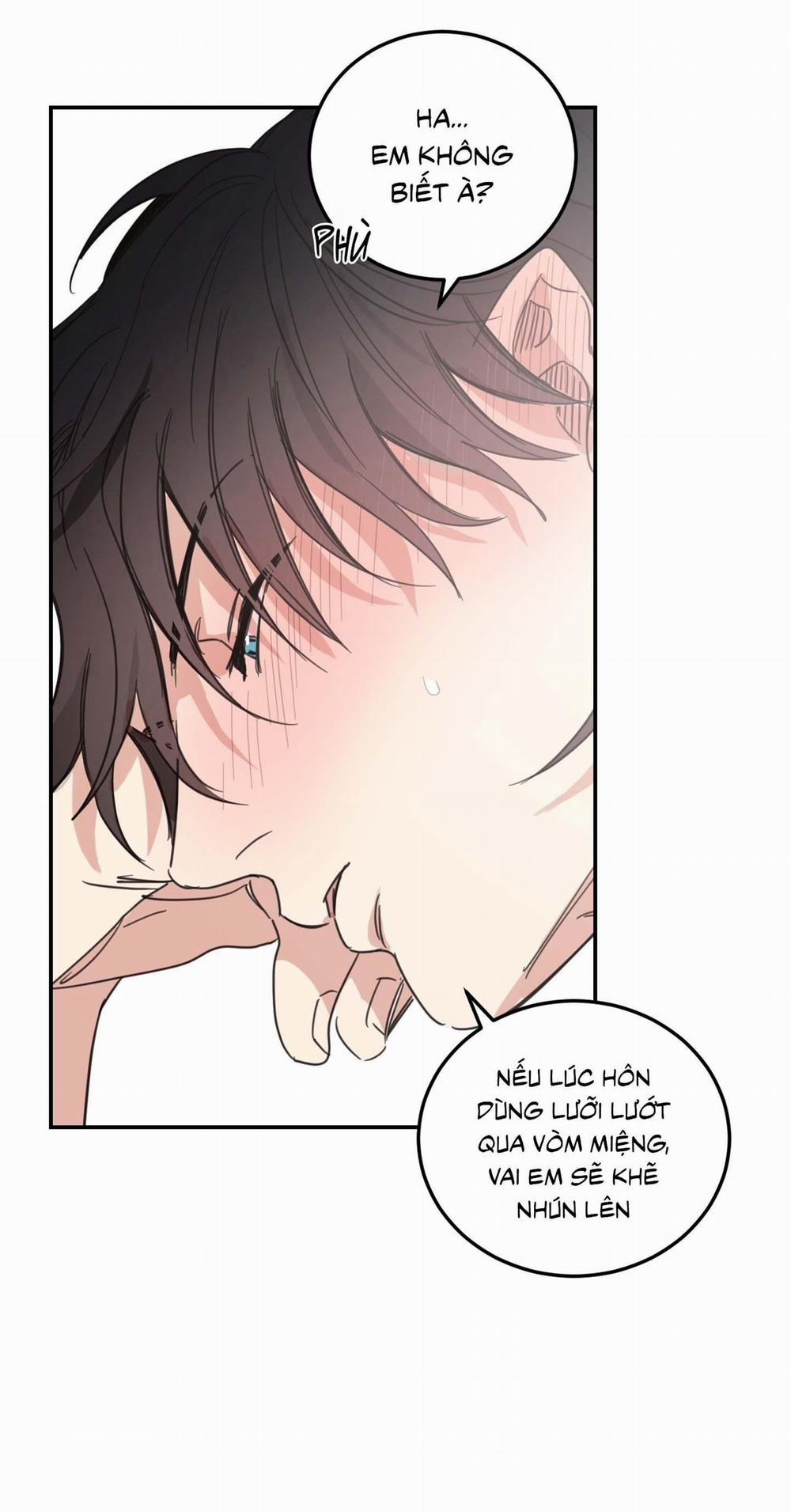 NGÔI NHÀ HƯỚNG MẶT TRỜI MỌC 43 trang 6