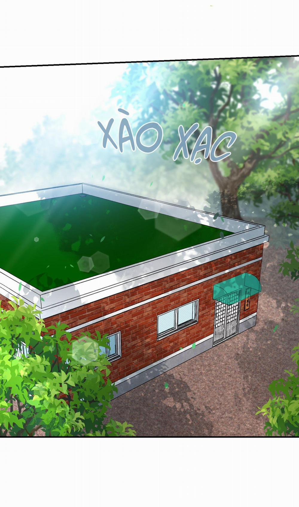 NGÔI NHÀ HƯỚNG MẶT TRỜI MỌC 47 trang 11