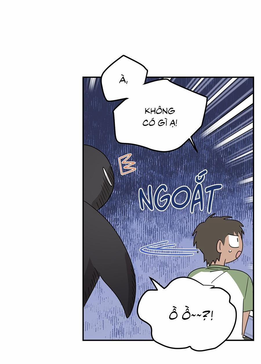 NGÔI NHÀ HƯỚNG MẶT TRỜI MỌC 48 trang 12