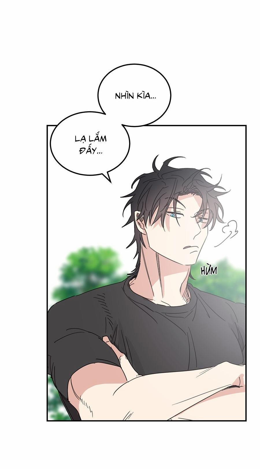 NGÔI NHÀ HƯỚNG MẶT TRỜI MỌC 48 trang 15