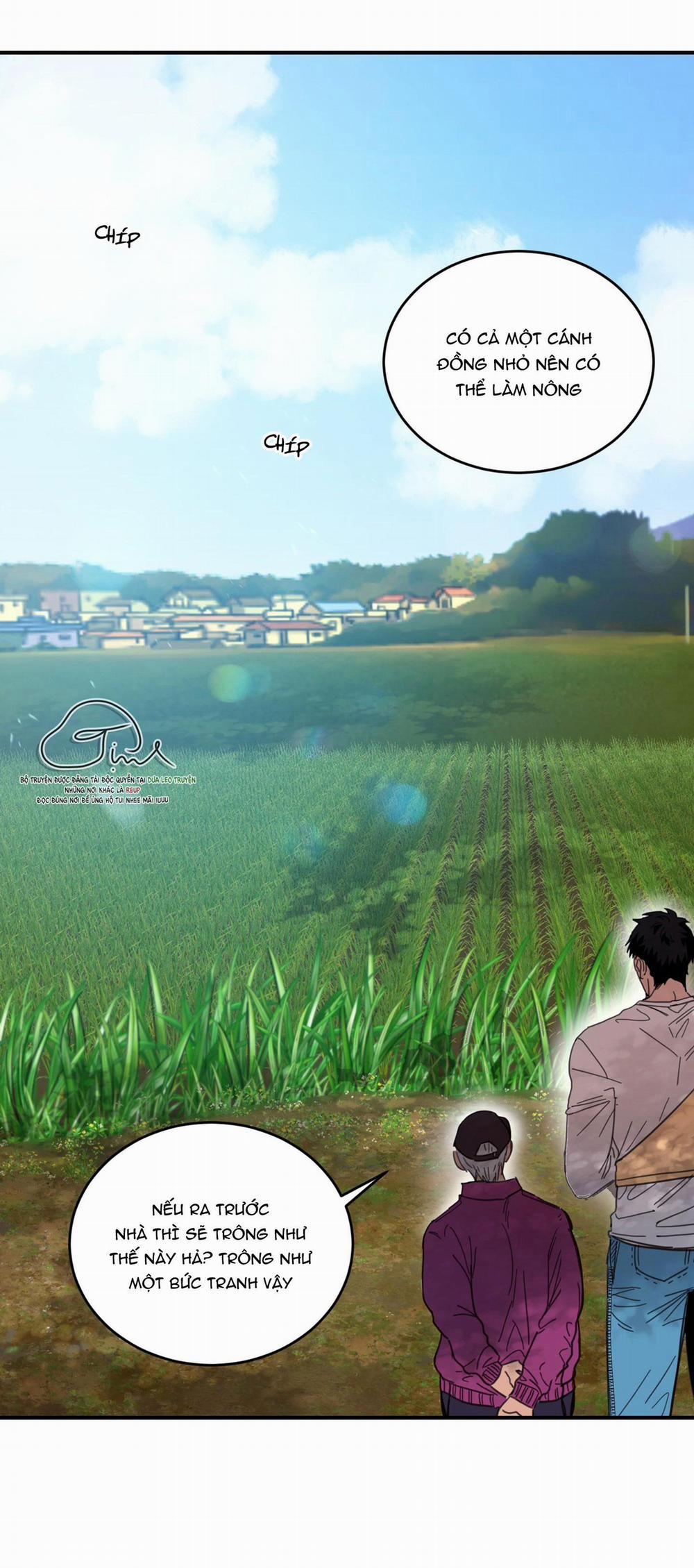 Ngôi Nhà Mặt Trời Mọc 1 trang 4