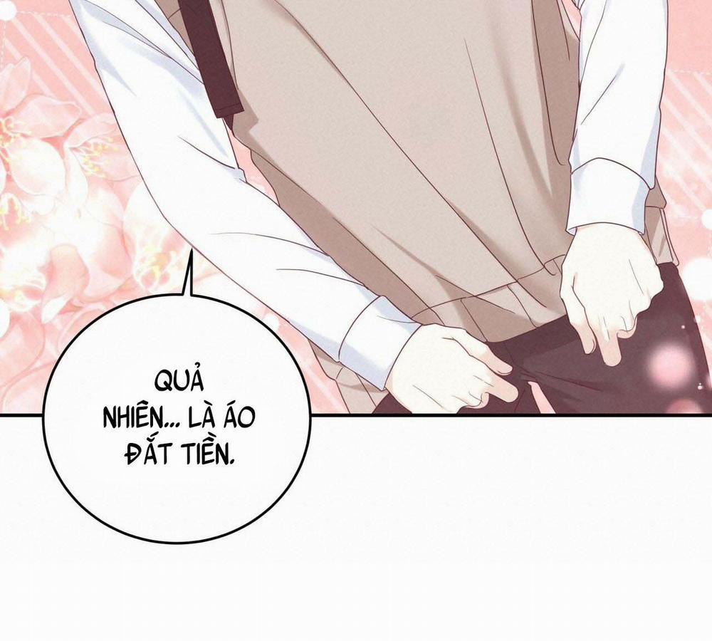 NGỌT NGÀO NÀY ĐỀU LÀ THẬT SAO? 6 trang 13