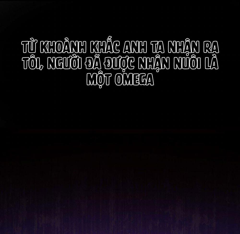 NGỌT NGÀO NÀY ĐỀU LÀ THẬT SAO? 6 trang 82