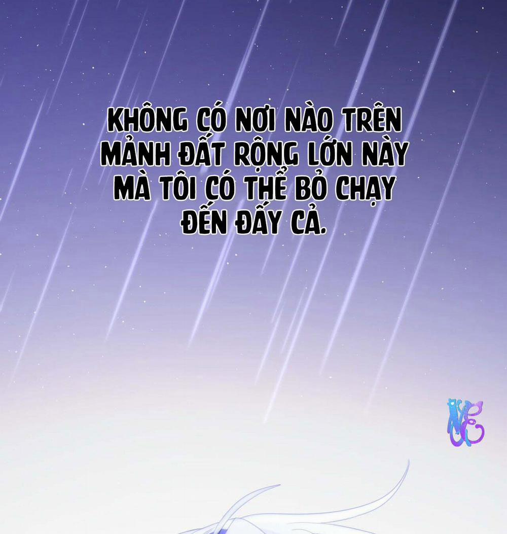 NGỌT NGÀO NÀY ĐỀU LÀ THẬT SAO? 7 trang 26