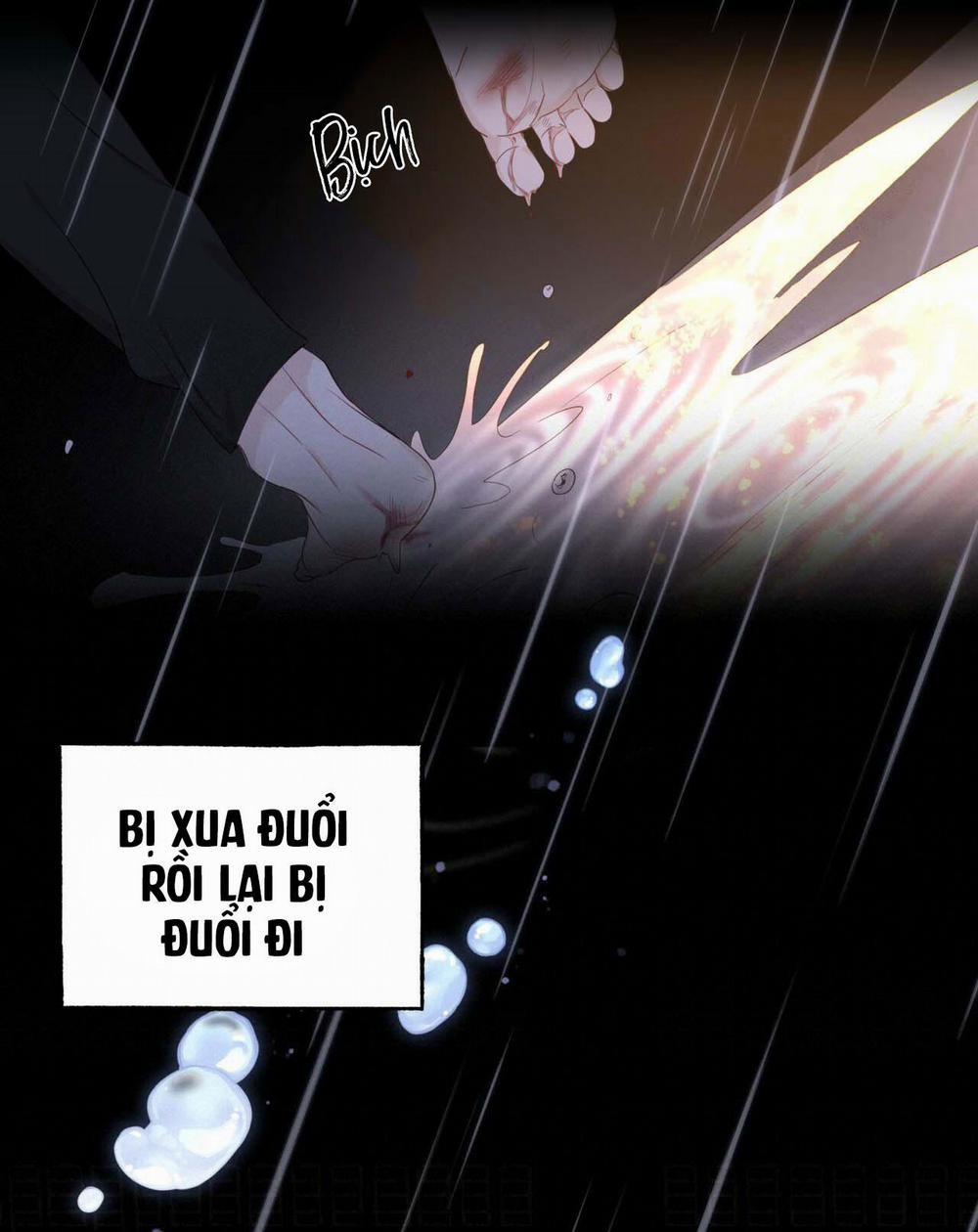 NGỌT NGÀO NÀY ĐỀU LÀ THẬT SAO? 7 trang 29