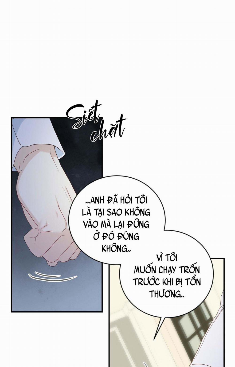 NGỌT NGÀO NÀY ĐỀU LÀ THẬT SAO? 7 trang 67