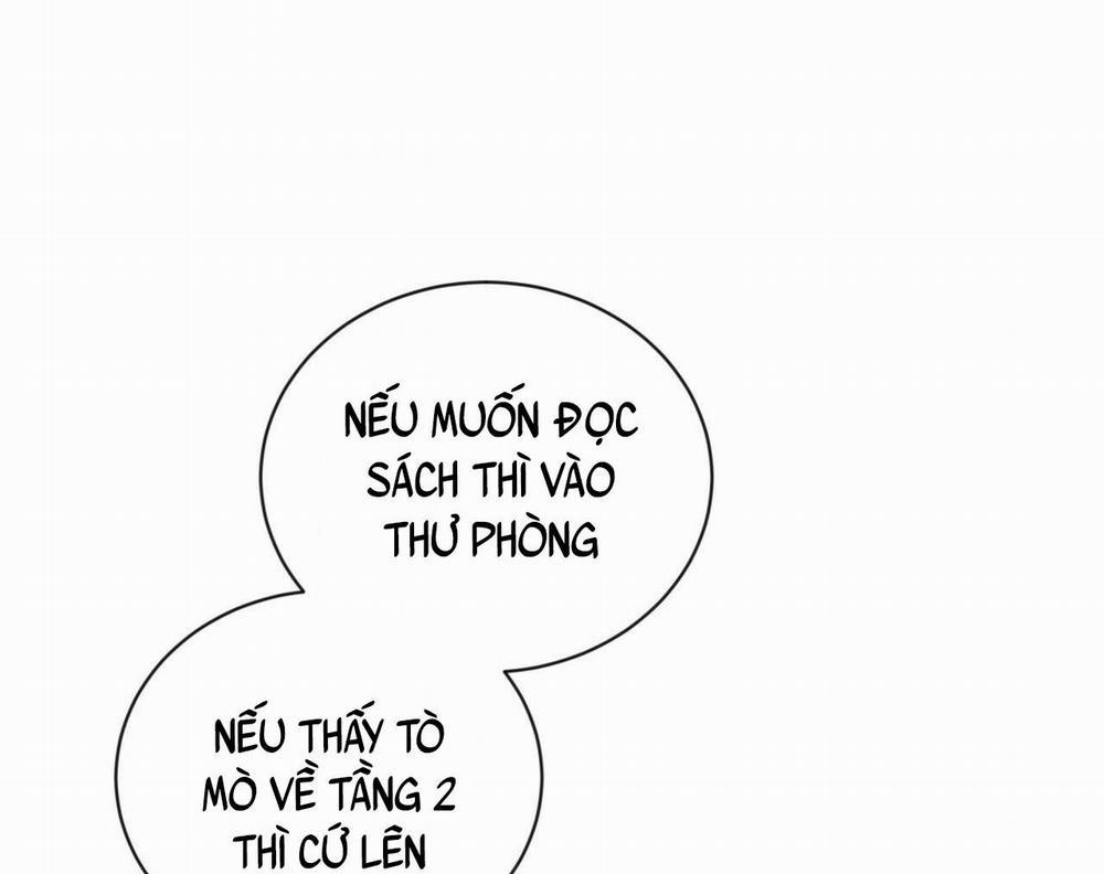 NGỌT NGÀO NÀY ĐỀU LÀ THẬT SAO? 8 trang 58