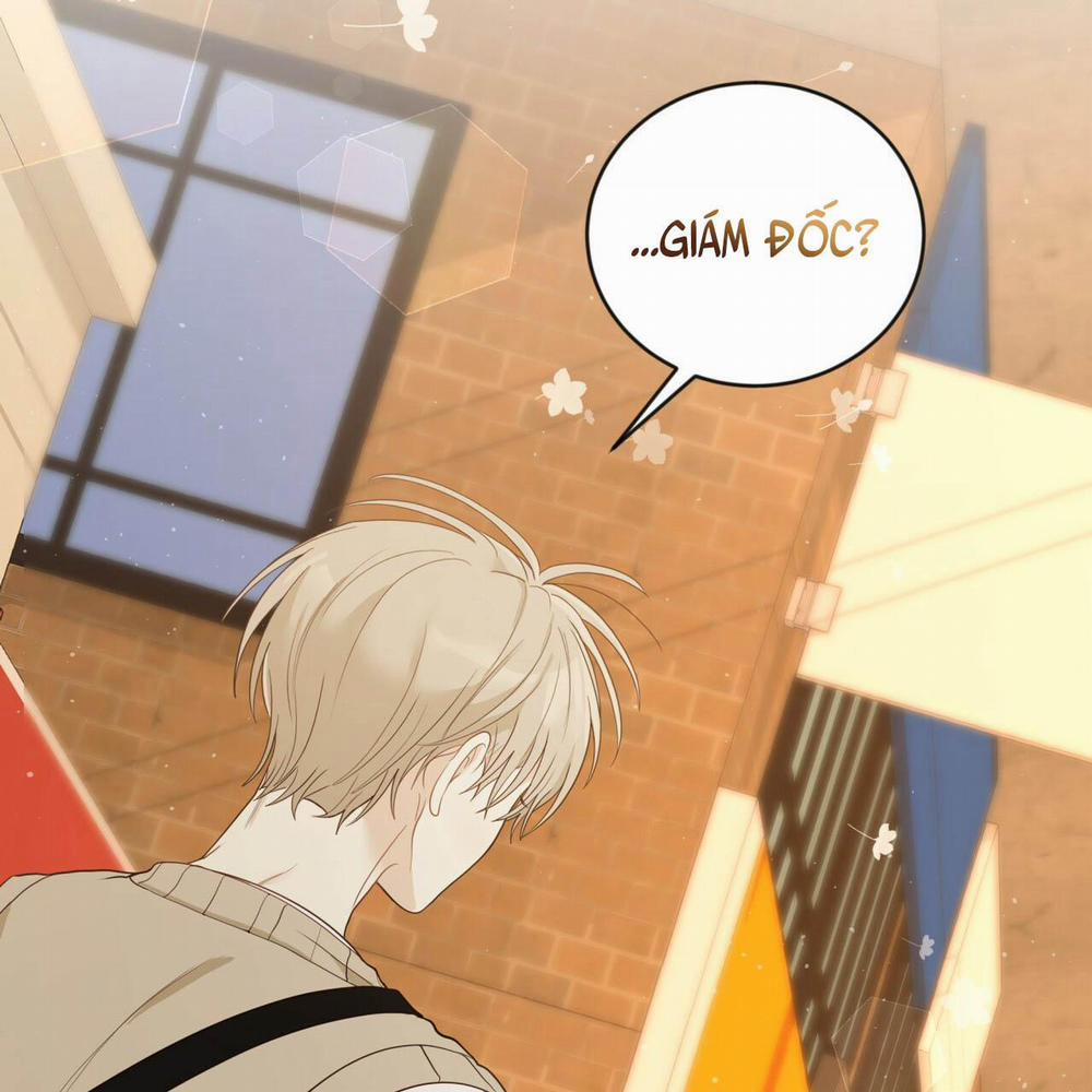 NGỌT NGÀO NÀY ĐỀU LÀ THẬT SAO? 9 trang 31