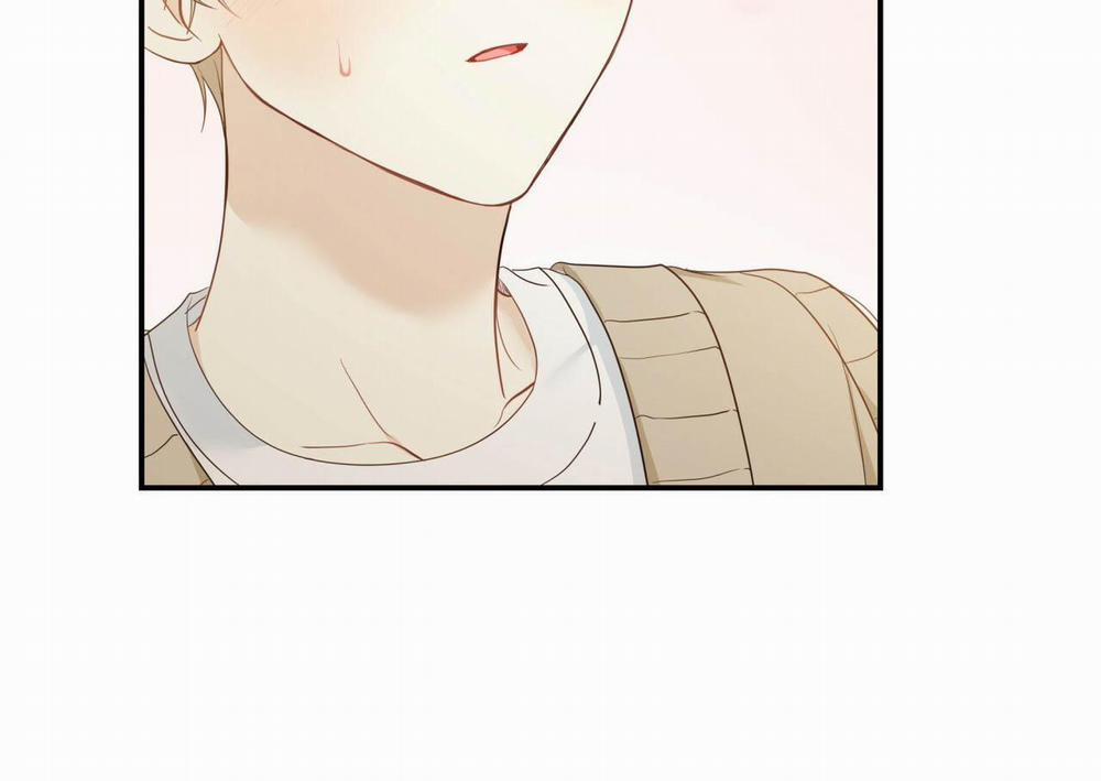 NGỌT NGÀO NÀY ĐỀU LÀ THẬT SAO? 9 trang 44