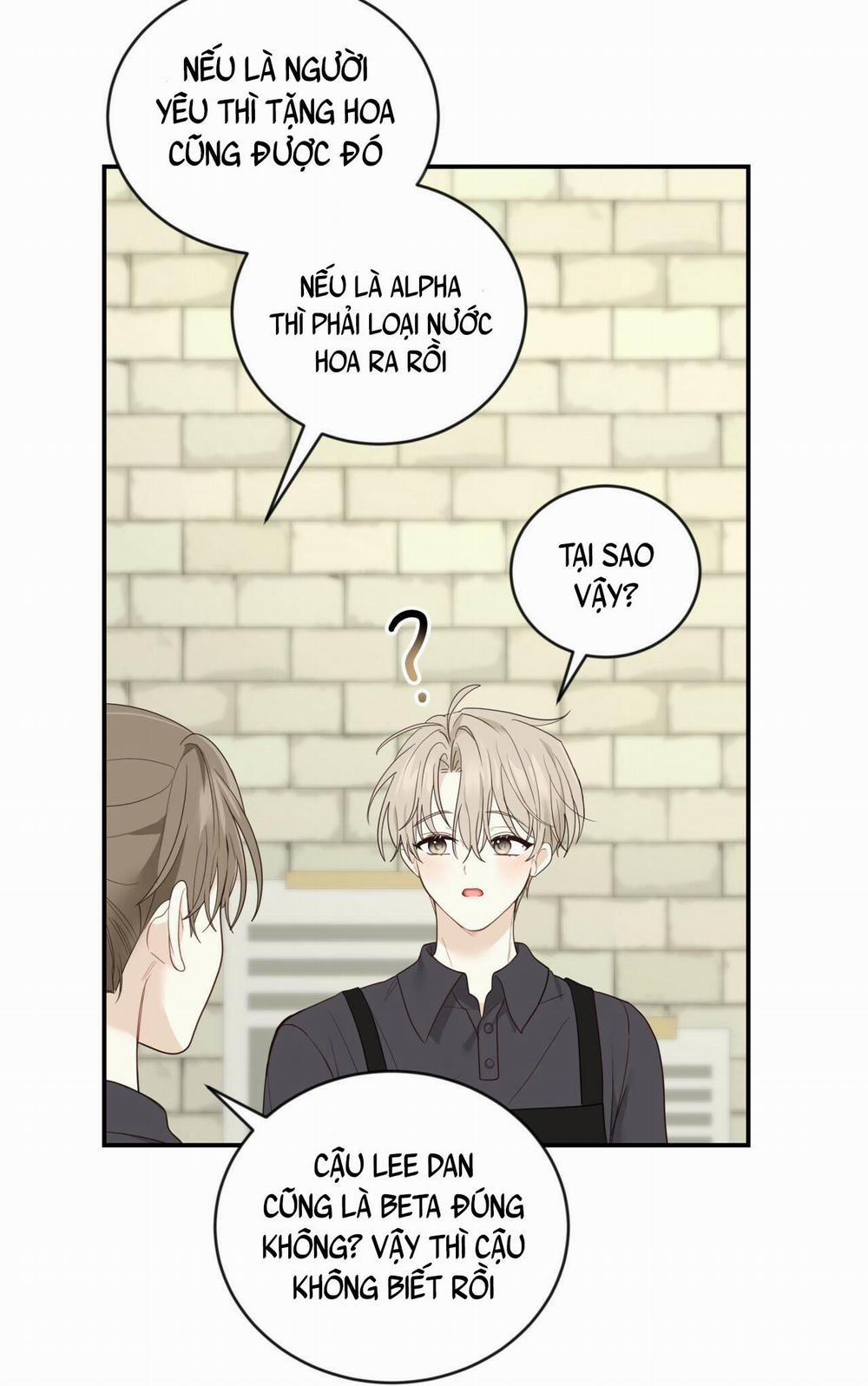 NGỌT NGÀO NÀY ĐỀU LÀ THẬT SAO? 9 trang 90