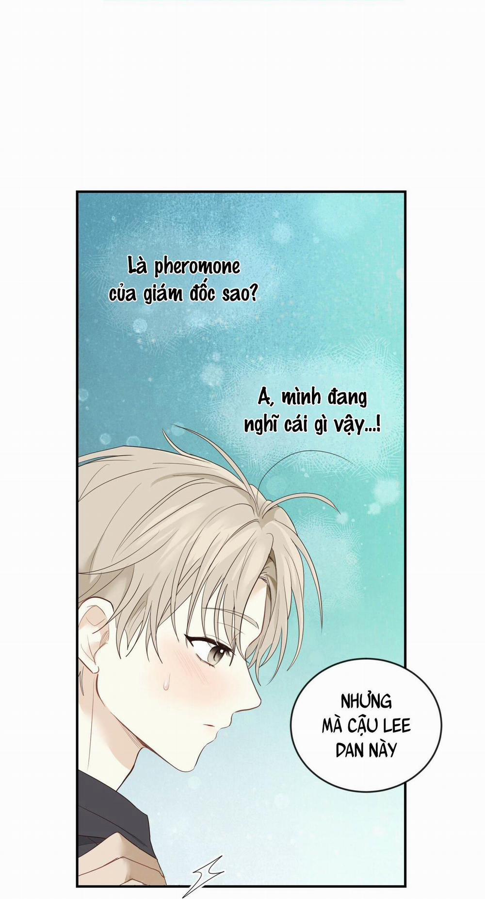 NGỌT NGÀO NÀY ĐỀU LÀ THẬT SAO? 9 trang 93