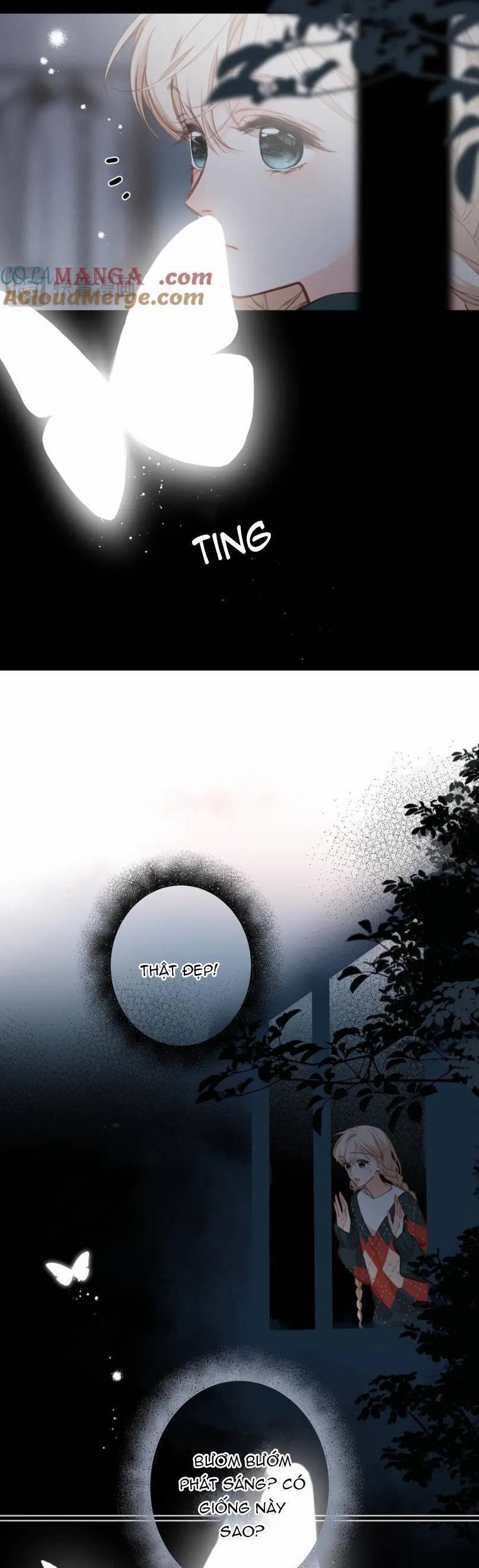 Ngược Dòng Về Mùa Xuân 19 trang 13