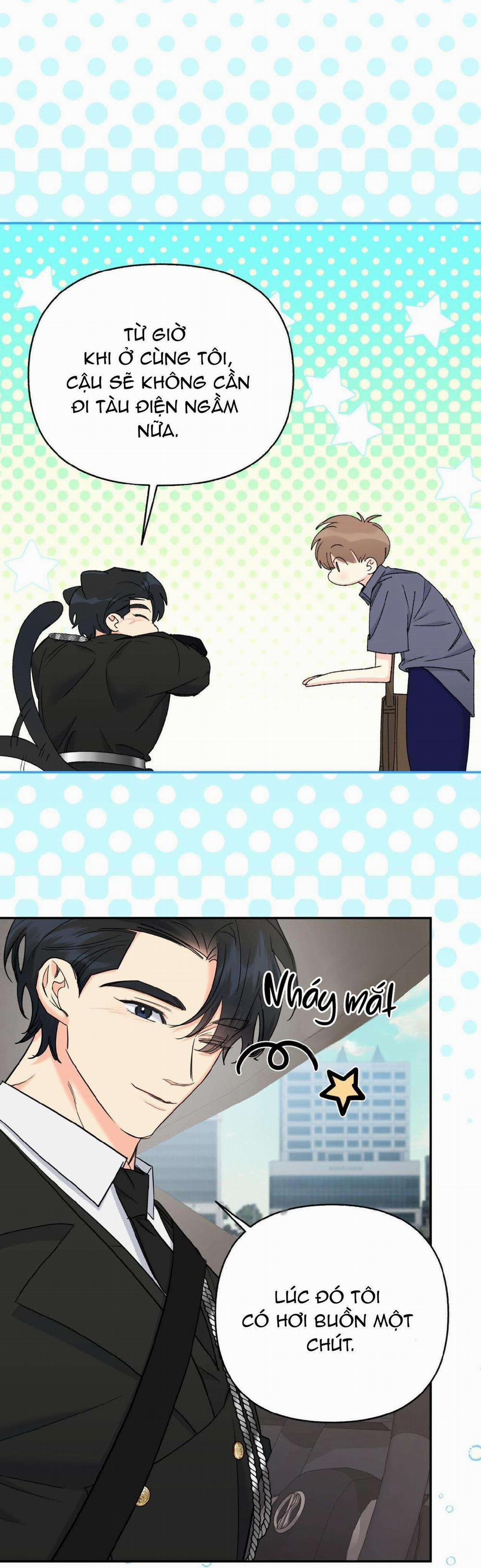 Người Bình Thường Cấp A 36 trang 14