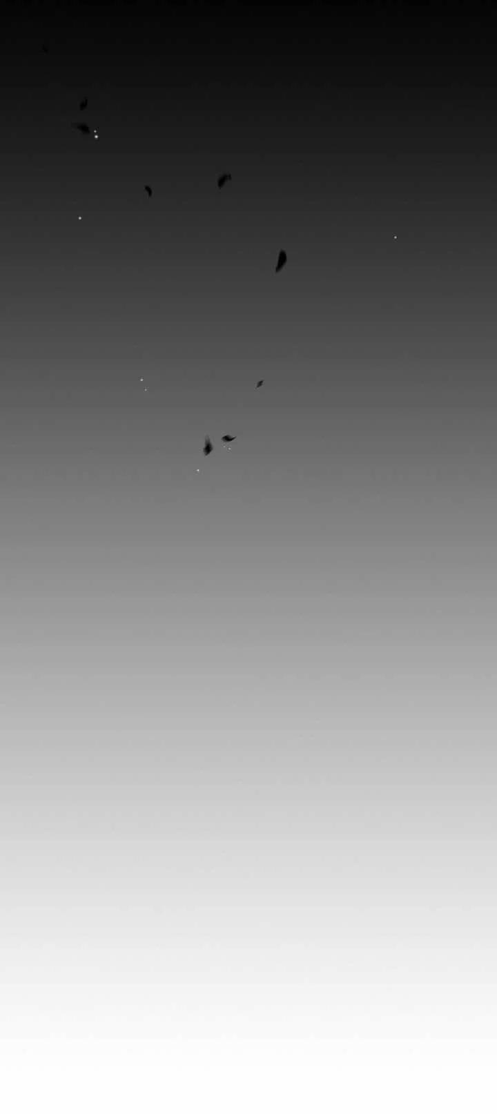 Người Đẹp Và Quái Vật 134.1 trang 20