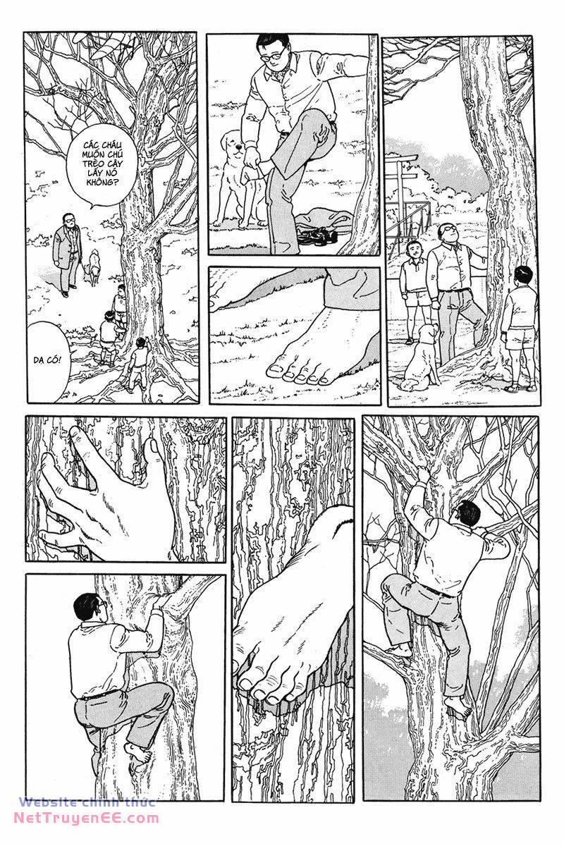 Người Đi Bộ 4 trang 2